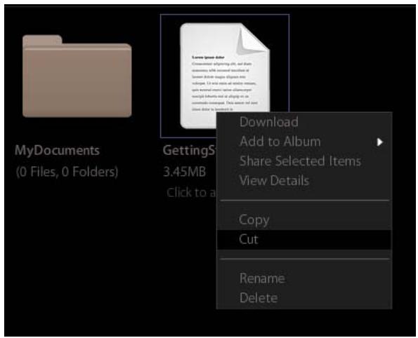 NETGEAR MS2110 - Moving a folder - 1