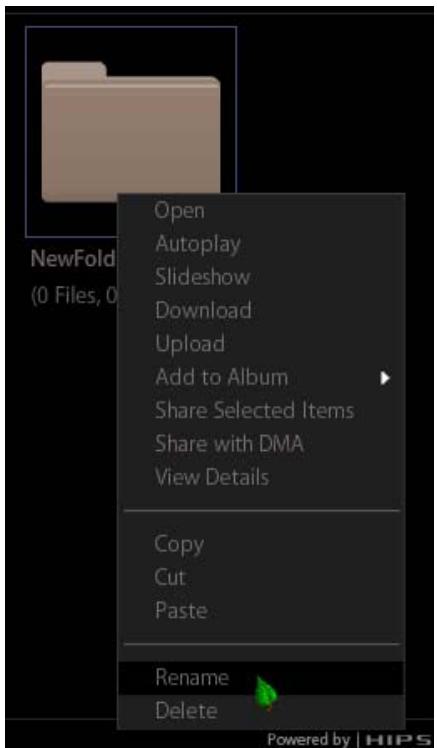 NETGEAR MS2110 - Renaming a Folder - 1