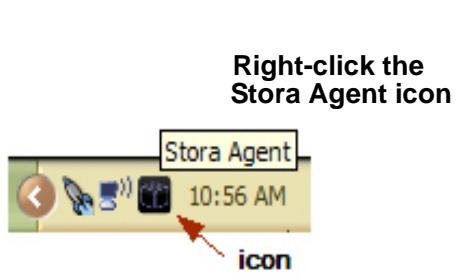 NETGEAR MS2120 - Using Stora Agent - 1