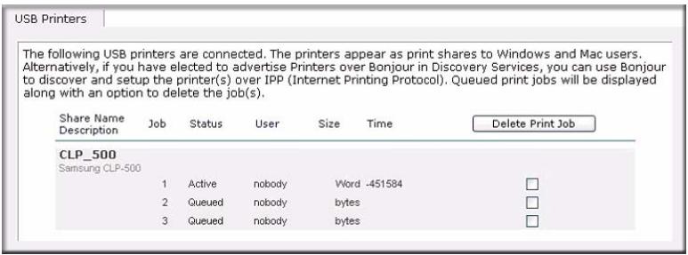 NETGEAR READYNAS DUO RND2000 - Managing Print Queues - 1