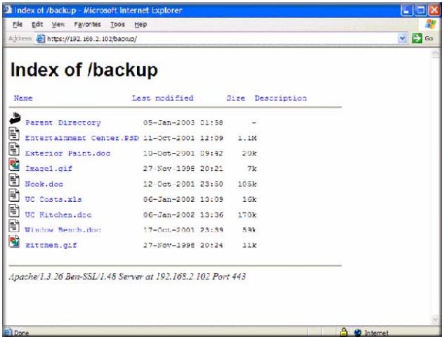 NETGEAR READYNAS DUO RND2000 - Web Browser - 3