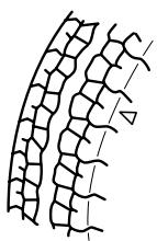 MAZDA RX-8 2011 - N'utiliser que des pneus en bon etat: - 1