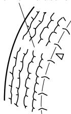 MAZDA RX-8 2011 - N'utiliser que des pneus en bon etat: - 2