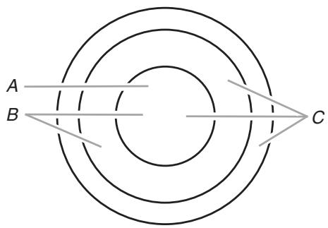 BAUKNECHT G7CE3635 - Triple Element (on some models) - 1