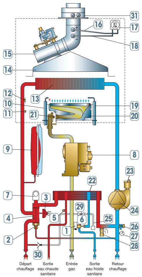 CHAPPEE LUNA FLIRT HTEV - AVANTAGES PRODUIT - 3