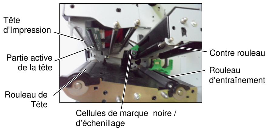 OKI LE840DT - Tête d'impression, rouleaux et cellules (suite) - 1