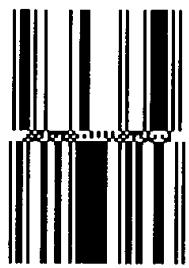 OKI LE840DT - Bar codes - 35