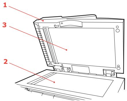OKI MC560MFP-PLUS - CLEAN THE DOCUMENT GLASS - 1