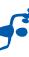 SPORT ELEC BODY CONTROL DUO MINCEUR - e 2 - 2