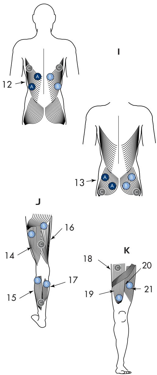 SPORT ELEC EVOLUTION BODY AND FACE - 21