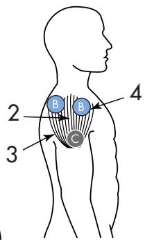 SPORT ELEC EVOLUTION BODY AND FACE - 9