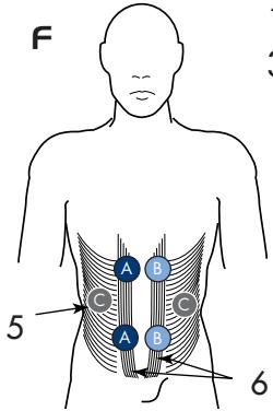 SPORT ELEC EVOLUTION BODY AND FACE - 10