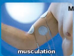 SPORT ELEC EVOLUTION BODY AND FACE - Évolution body - 2
