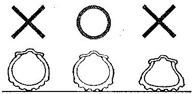 SYM 125 XS - § EXAMEN DES PNEUS § - 1