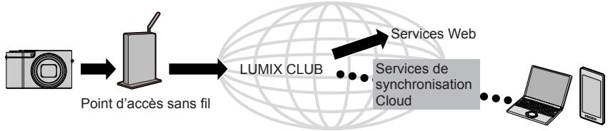 PANASONIC LUMIX DMC-TZ100 - Utilisation des services web - 1