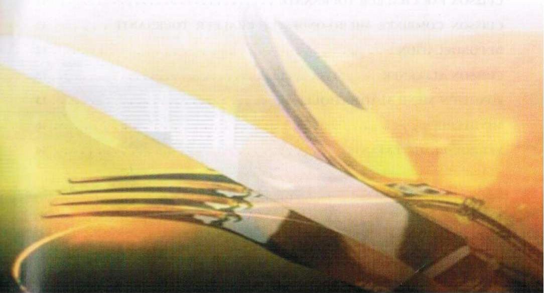 SELECLINE MCW3003 - 2