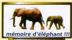 WALLIS CM804 - Comfortable - 1