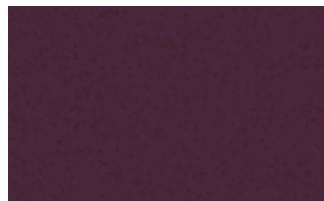 PORSCHE PANAMERA TURBO - Ciel de toit. - 20