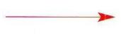 LEGRAND 74437 - Effacement du programme 5 et 6 - 6