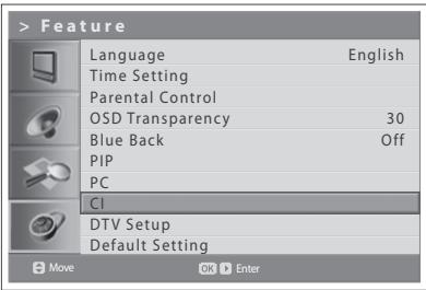 HUMAX LGB-32DST - Common Interface (for digital channels only) - 1