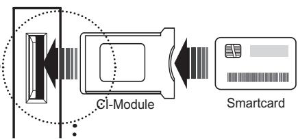 HUMAX LGB-32DST - Eisenzen eines Cl-Moduls (mit Smartcard) - 2