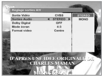 HUMAX PVR-8000 - Sortie Video (CVBS/S-Video/RGB) - 1