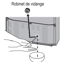 PANASONIC NR-B32FX2-XE & NR-B32FX2 - Avant de déplacer ou de transporter le réfrigérateur - 1