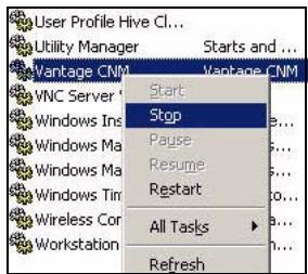 ZYXEL VANTAGE CNM - The Services screen opens. - 2