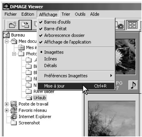 MINOLTA DIMAGE VIEWER - Mise à jour de la fenêtre imagettes - 1