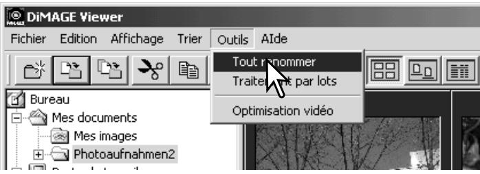 MINOLTA DIMAGE VIEWER - Renommer les fichiers multiples - 1