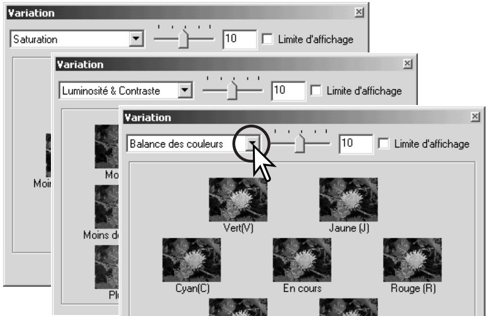 MINOLTA DIMAGE VIEWER - Palette de variation - 3