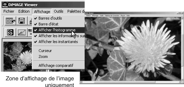 MINOLTA DIMAGE VIEWER - Fenêtre de correction d'image - 2