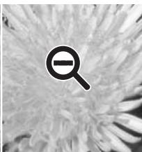 MINOLTA DIMAGE VIEWER - Outil Zoom - 3