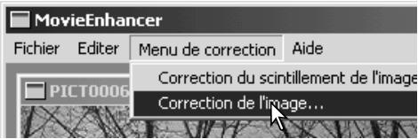 MINOLTA DIMAGE VIEWER - Correction des images video - 1