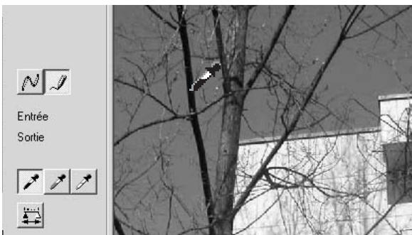 MINOLTA DIMAGE VIEWER - Corrections par "Point blanc", "Point noir", et "Point gris" - 2