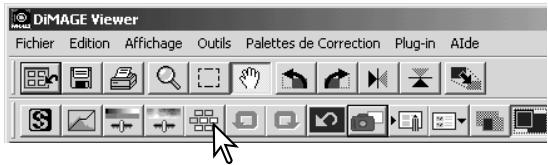 MINOLTA DIMAGE VIEWER - Palette de variation - 2