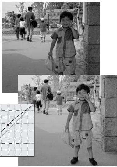 MINOLTA DIMAGE VIEWER - Guide de corrections de courbes de transfert - 2