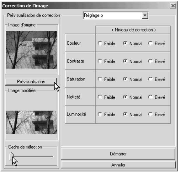 MINOLTA DIMAGE VIEWER - Correction des images video - 2