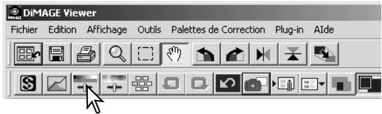 MINOLTA DIMAGE VIEWER - Luminosité, contraste et palette d'équilibrage des couleurs - 2
