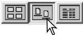 MINOLTA DIMAGE VIEWER - Modification du format d'affichage - 3