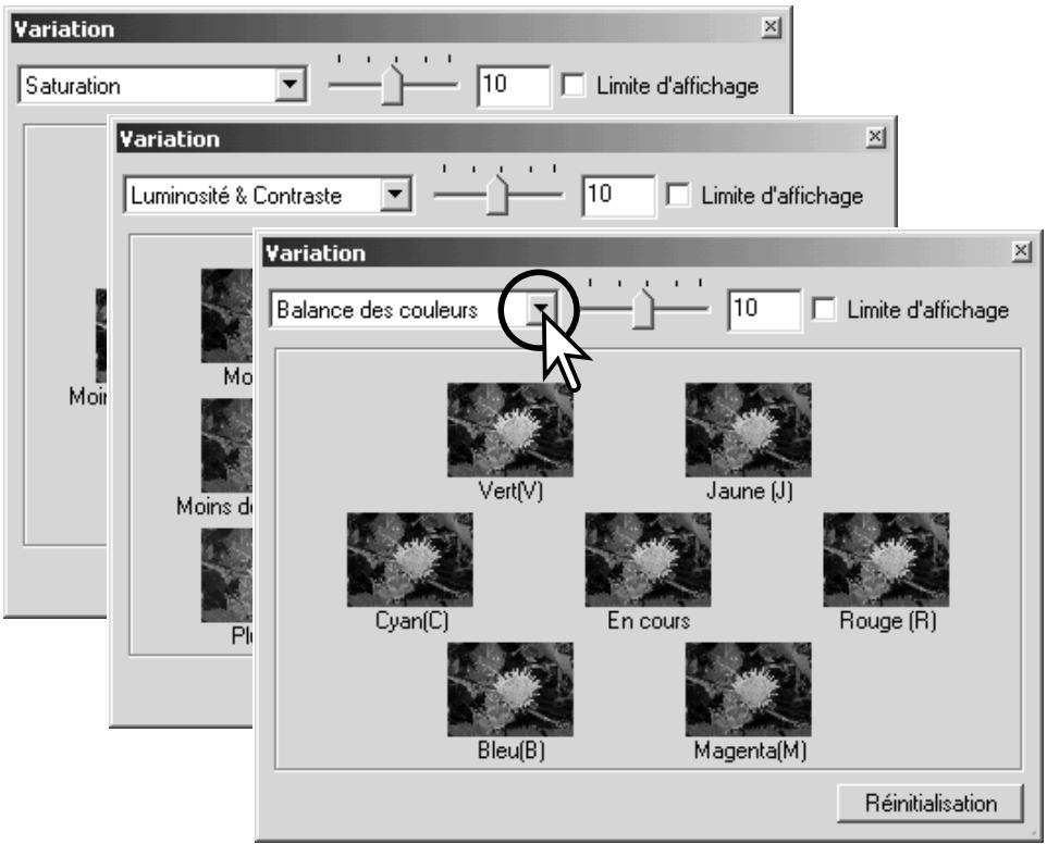 MINOLTA DIMAGE VIEWER 2.3 - Palette de variation - 3
