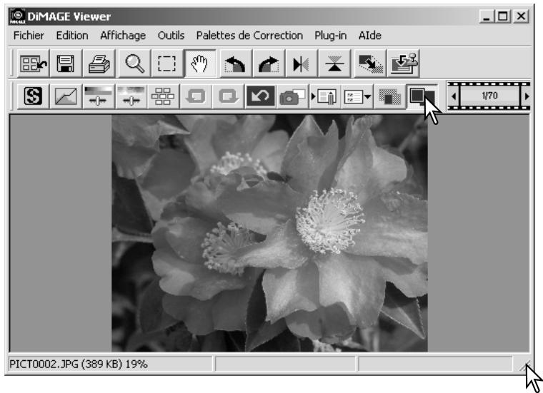 MINOLTA DIMAGE VIEWER 2.3 - Bouton "Image entière - 2
