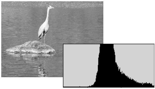 MINOLTA DIMAGE VIEWER 2.3 - Petit guide sur les corrections d'histogramme - 2