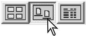 MINOLTA DIMAGE VIEWER 2.3 - Modification du format d'affichage - 3