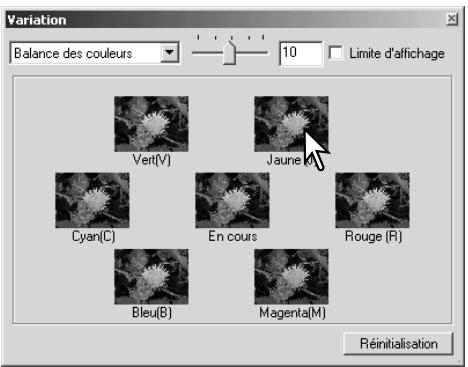 MINOLTA DIMAGE VIEWER 2.3 - Palette de variation - 4