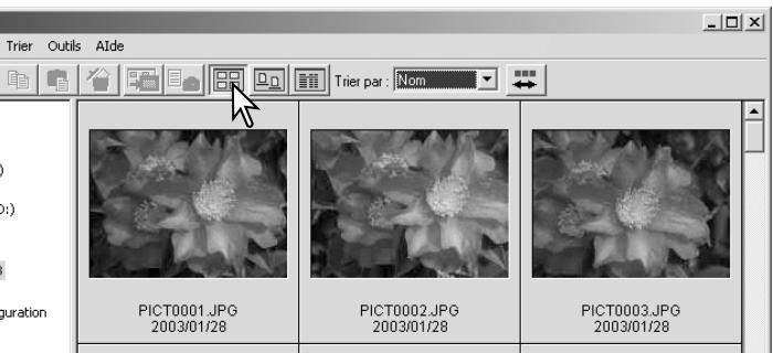 MINOLTA DIMAGE VIEWER 2.3 - Modification du format d'affichage - 1