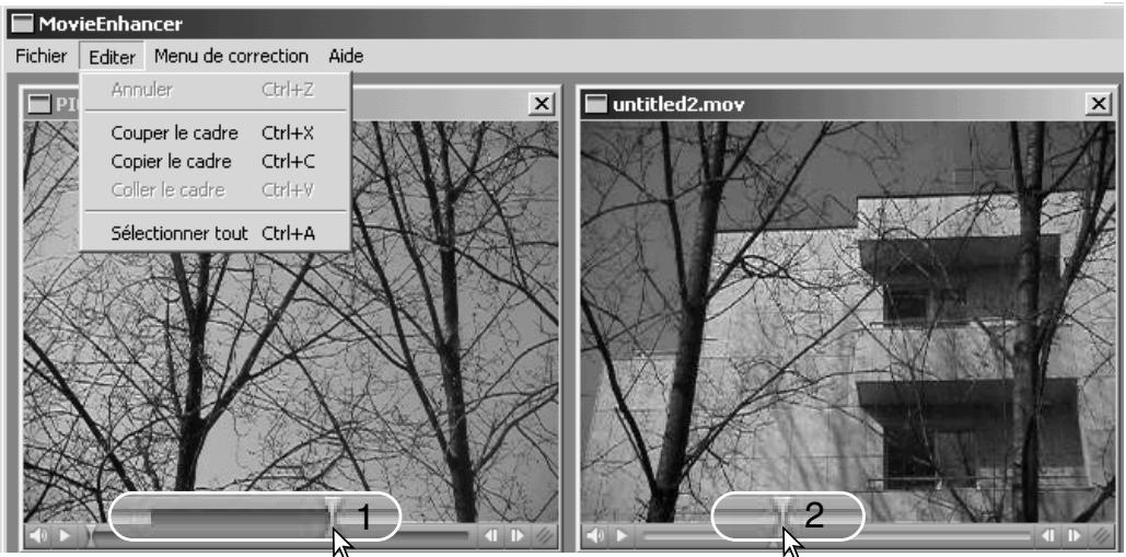 MINOLTA DIMAGE VIEWER 2.3 - Copier une série vidéo sur une autre - 1