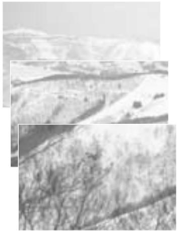 MINOLTA DIMAGE VIEWER 2.3 - Palette de luminosité, contraste et balance couleurs - 4