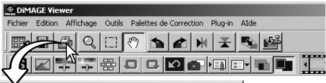 MINOLTA DIMAGE VIEWER 2.3 - Impression - 1