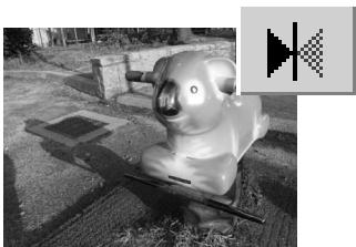 MINOLTA DIMAGE VIEWER 2.3 - DiIMAGE Viewer - 4
